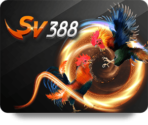 Explore the Best SBOTOP Live Dealer Hot Features and Benefits